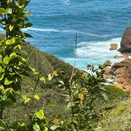 Bellavista فيلة سيسيمبرا